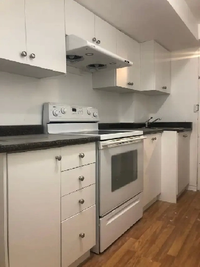 1 spacious BR for 1 or 2 girls in 2 BR basement from 1Dec/ 1Jan Image# 1