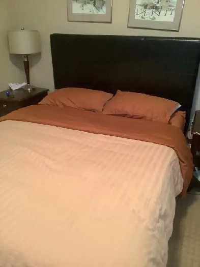 basement for rent Image# 2