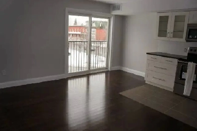 Cat-Lover Wanted – Room   Rent Discount for Cat Companion Image# 2