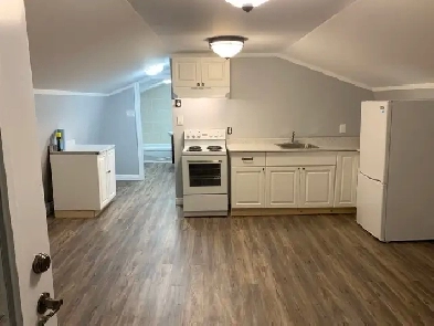 1 bedroom apartment Image# 4