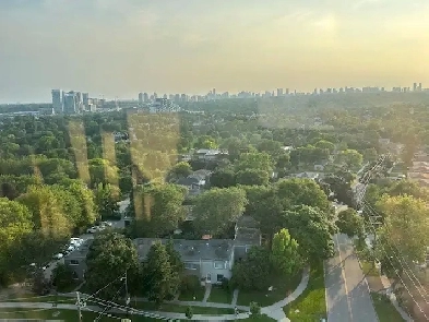 Room for Rent Image# 2