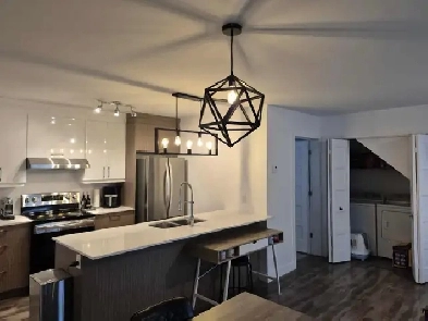 1 500$ 4 1/2 à louer à Ste-Catherine pour le 1er février 2026 Image# 5