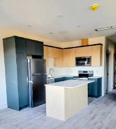 Bachelor/Studio - Huge Incentives for this Luxury New Bldg Image# 4