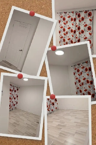 Chambre à louer - colocation Image# 1