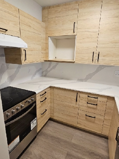 Beautiful One Bedroom - Jan 1st Image# 2