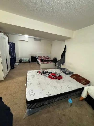 BACHELOR/STUDIO APPARTMENT FOR RENT IN BRAMPTON Image# 4