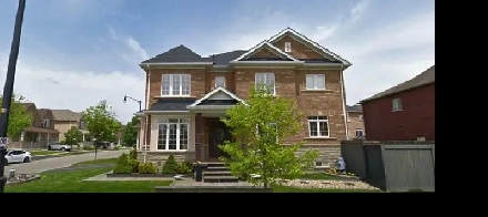 Brand new 2 bedroom basement near Mount Pleasant go station Image# 4