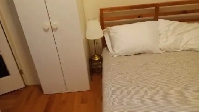 Furnished 1 bedroom apartment downtown available Dec 1 Image# 1