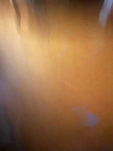 family of 5 in need of a place for a few days Image# 1