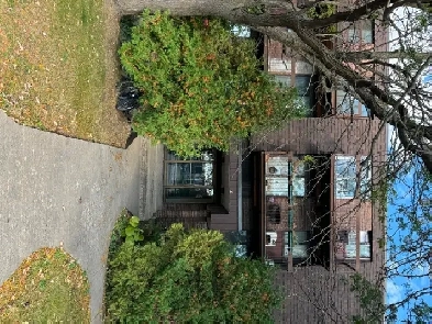 4 1/2 à louer brossard Image# 1