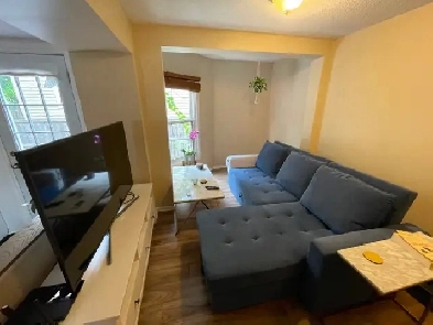 Large One-Bedroom apartment - Centretown Image# 1