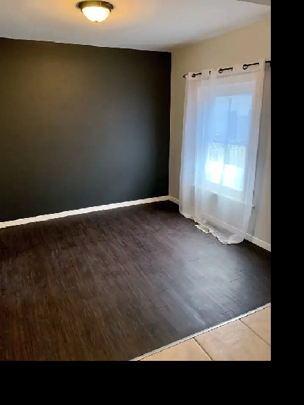 Pet-Friendly 1-Bedroom in Central Hamilton - $1450 All-Inclusive Image# 1