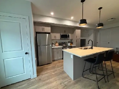 NEW 1 Bedroom suite for rent Image# 6