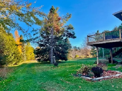 Private, Spacious Hobby Farm Image# 3