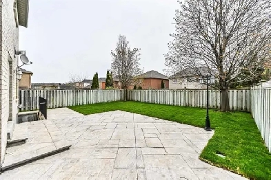 1100 sqft large one bedroom basement apartment in Maple Vaughan Image# 1