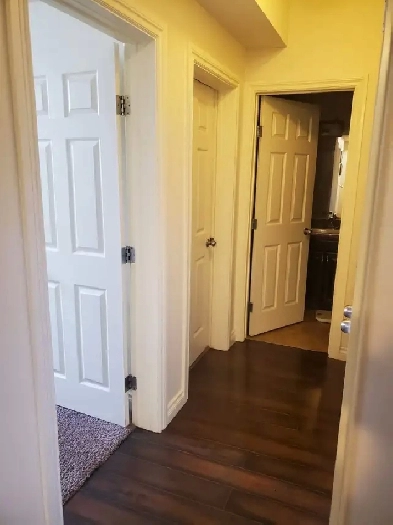 2 bedroom Basement Suit For Rent Image# 5