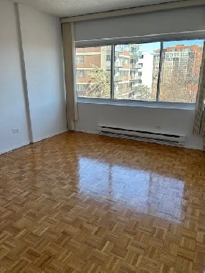 Très Grand 4 1/2 Cote Vertu Image# 1