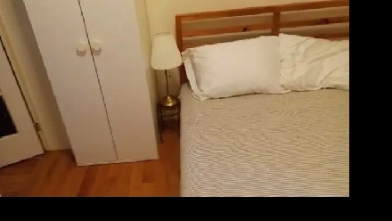 Furnished 1 bedroom apartment downtown available December 1 Image# 1