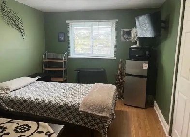 Room Available Immediately 5 Mins To Darlington OPG Plant Image# 1