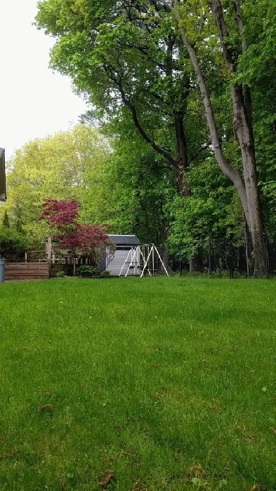 Three Minutes Walk To UTM—Room for rent Image# 1