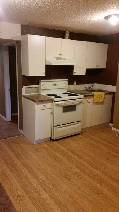 ONE BEDROOM BASEMENT SUITE Image# 1