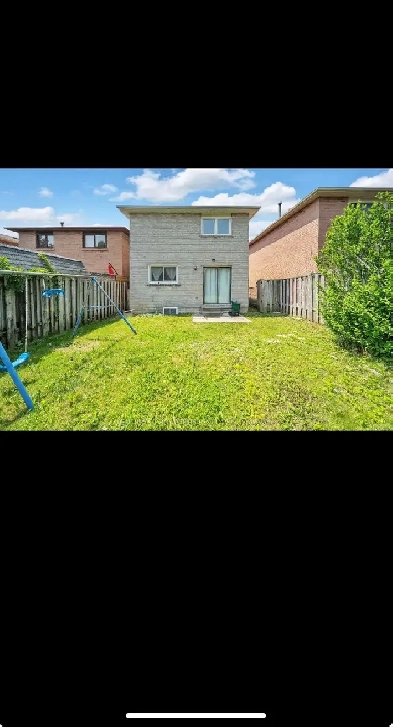 1 bedroom basement for rent Image# 1