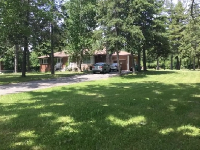 BASEMENT APARTMENT FOR RENT Image# 1