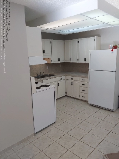 Cranbrook 3 bedroom, 1.5 bath apartment, available Jan 15 Image# 3