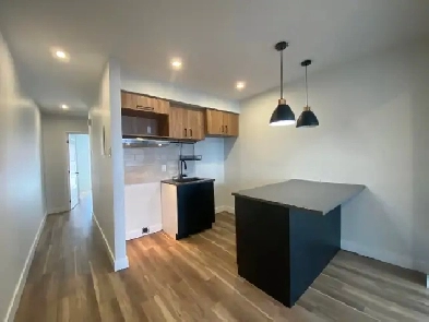 3 1/2 Rénové au 1er étage disponible rien n’est inclus. Image# 1