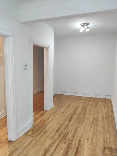 3 1/2   espace bureau, 1 chambre coucher, Petite-Italie, Rénové Image# 1