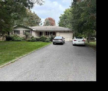 3 BR/2bat basement apartment Image# 1