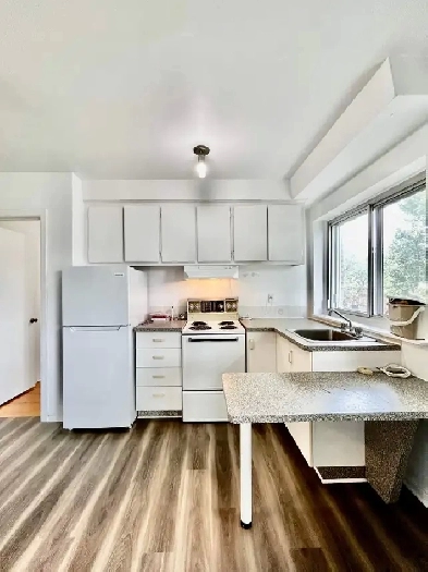 1 CH - 1 SDB - Montréal - $1,450 /mo Image# 1