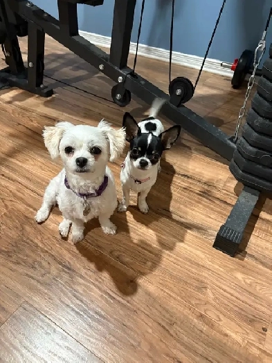 I’m looking for a two bedroom to rent Image# 1