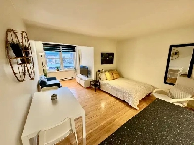 Superbe studio Loft meublé, WIFI, Libre maintenant Image# 1