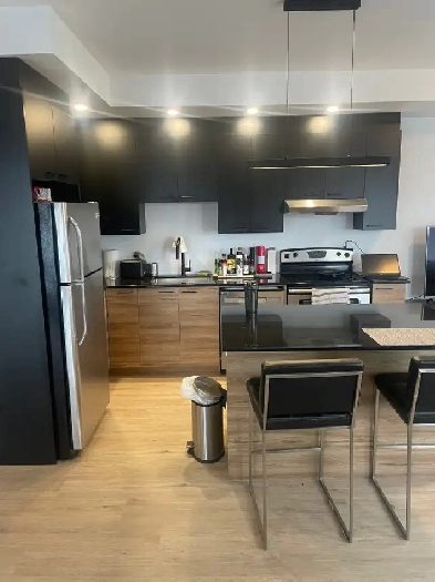 Superbe 3 1/2, St-Sauveur, Construction neuve, Libre Image# 1