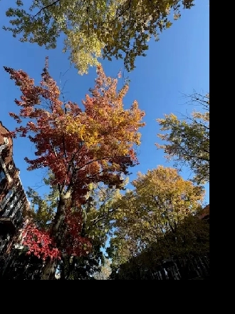 7 1/2, PL. VALOIS, HOCHELAGA, 3 GRANDES CHAMBRES, MÉTRO JOLIETTE Image# 1