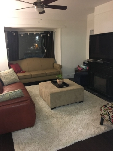 4&5Bed House- DEC 1ST- Everything INCL- Robie St. By DAL/QE2/SMU Image# 1