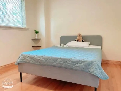 A Nice house whole main floor for rent in Hamilton Image# 1