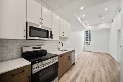 BRAND NEW Apartment! In the Heart of Downtown! Image# 1
