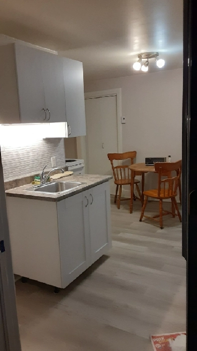 Bel Appart. 2 1/2 à Grenville-sur-la Rouge Image# 6