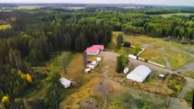 URGENT: 161 Acre Ranch Image# 5