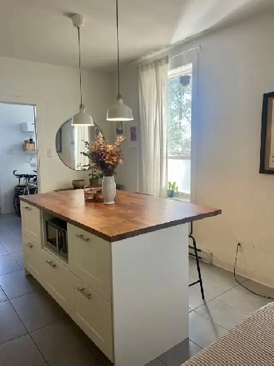 Rosemont-La-Petite-Patrie, 3 et ½ rénové/renovated Image# 1