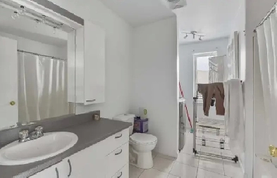 Apt 5650 Donais Disponible 1 Decembre 3 1/2 Image# 2