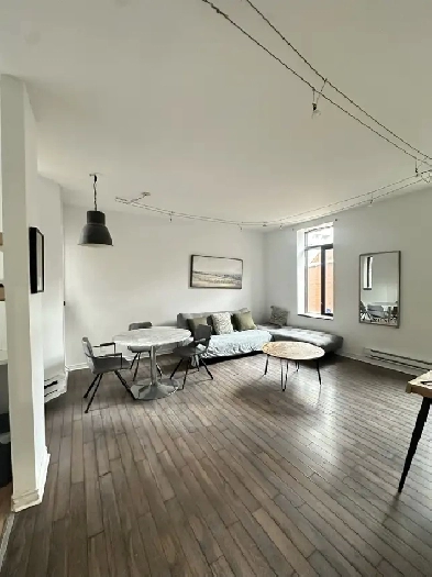 Grand 4 1/2 Plateau Mont-Royal Image# 3