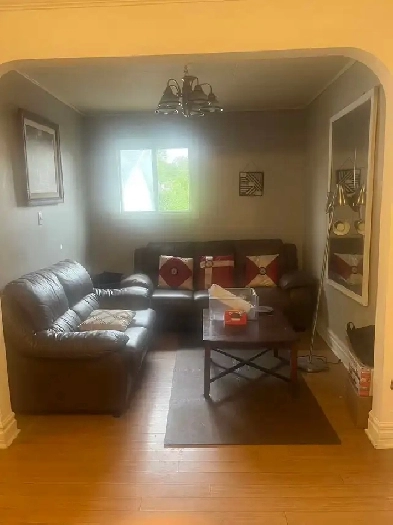 One Bedroom For Rent Image# 5