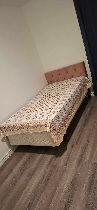 LEGAL BASEMENT SUITES Image# 1