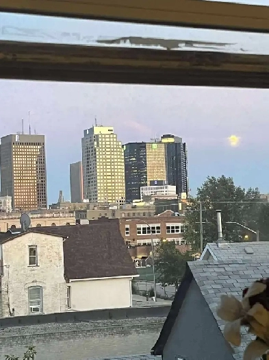 1 bedroom apartment Image# 6