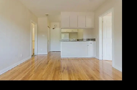 227 Notre Dame Ave - 1 Bedroom Newly Renovated For Rent Image# 1