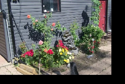 THE IDEAL 5 BEDROOM FAMILY HOME  IDEAL FENCED BACK YARD TOO