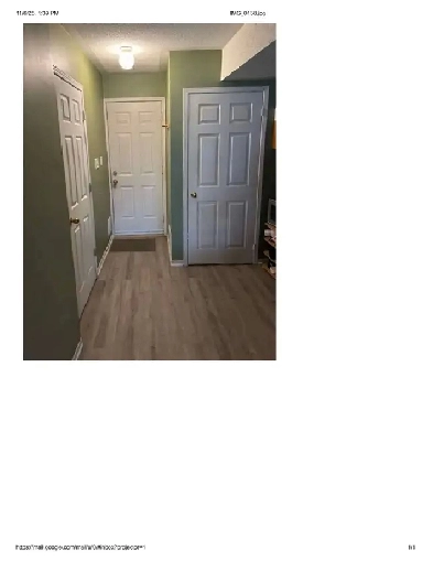 Spacious Studio with Backyard and Patio Access Image# 1